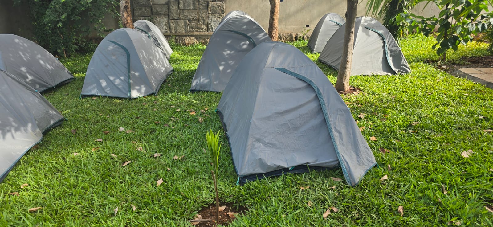 Pitched tents on the campsite