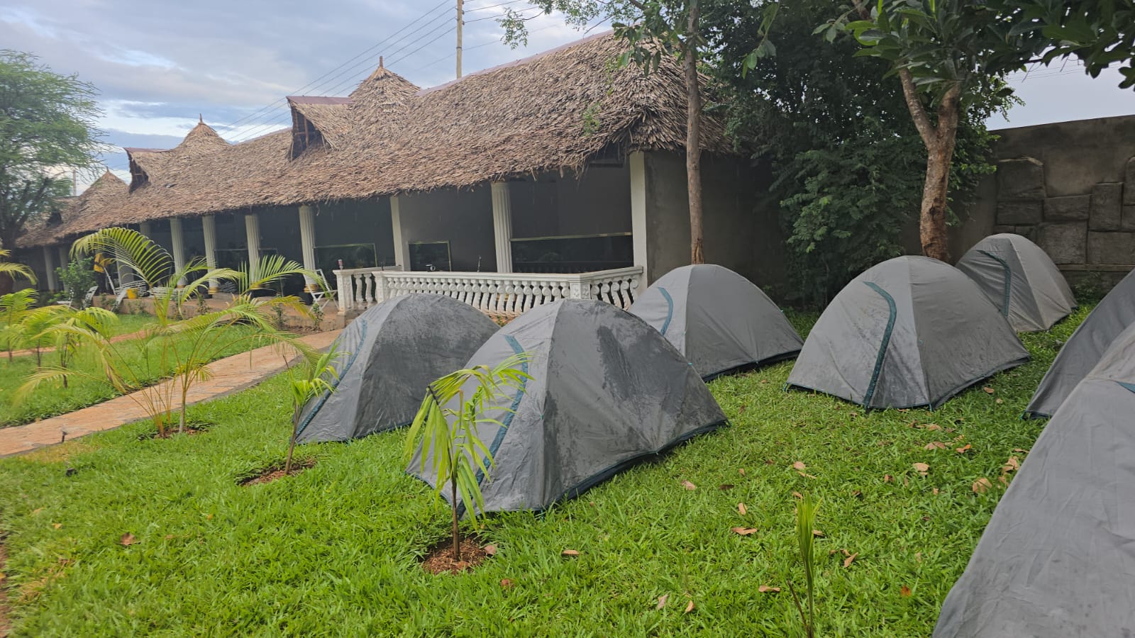 Campsite on the resort lawns